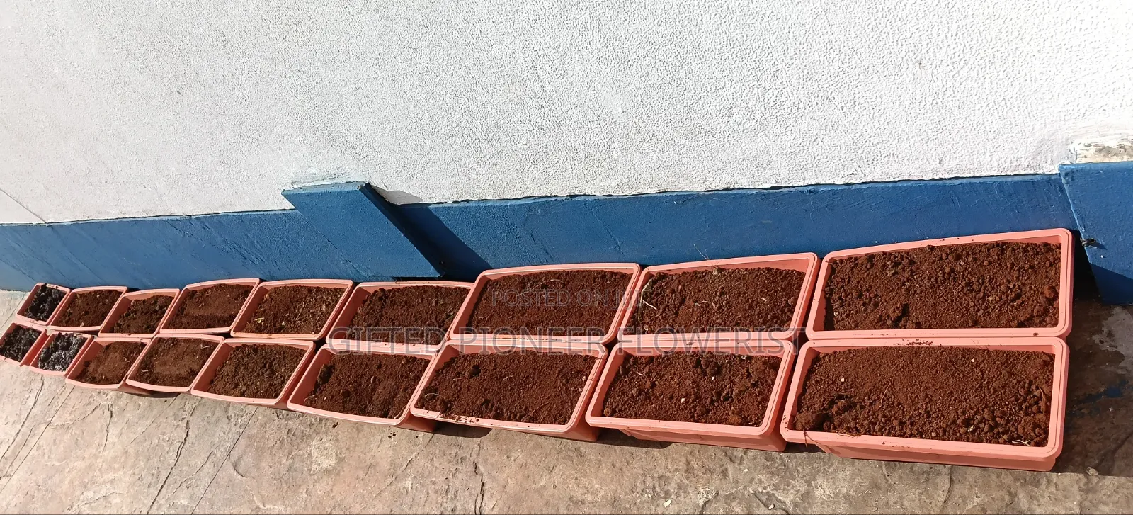 Red Top Soil /Pemba Grass(General Landscaping Solutions )