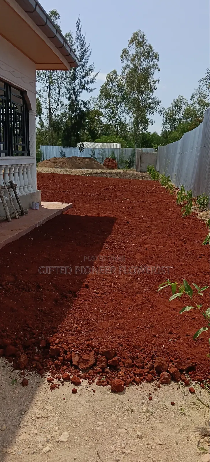 Red Top Soil /Pemba Grass(General Landscaping Solutions )