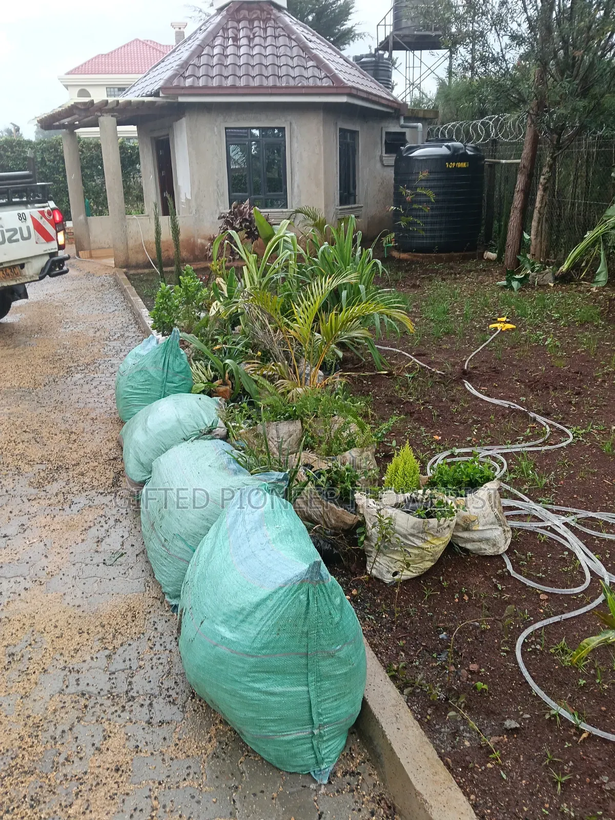Red Top Soil /Pemba Grass(General Landscaping Solutions )