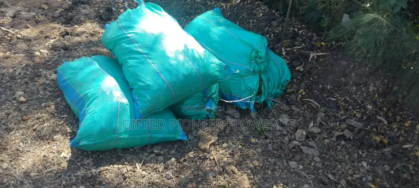 Red Top Soil /Pemba Grass(General Landscaping Solutions )