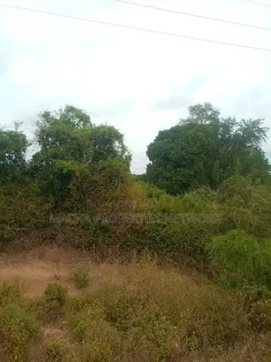 66 Acres for Grazing and Farming - Kitui - Nzombe