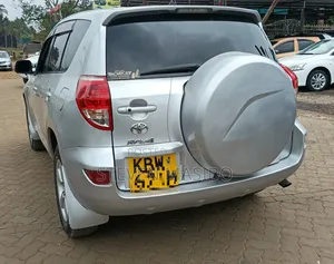 Toyota RAV4 2007 Silver