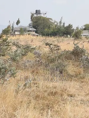 Malaa Plots