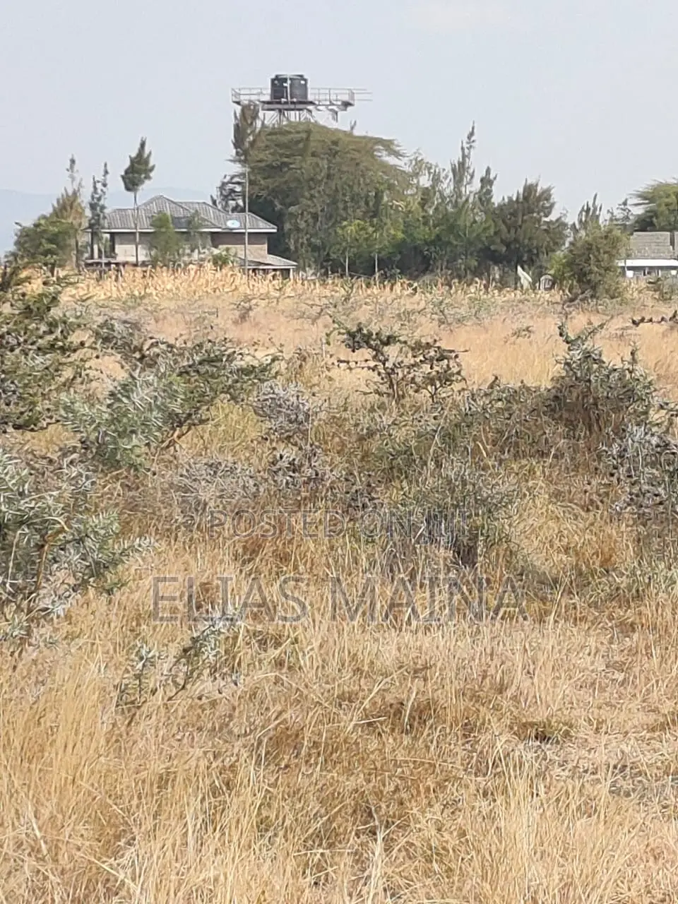 Malaa Plots