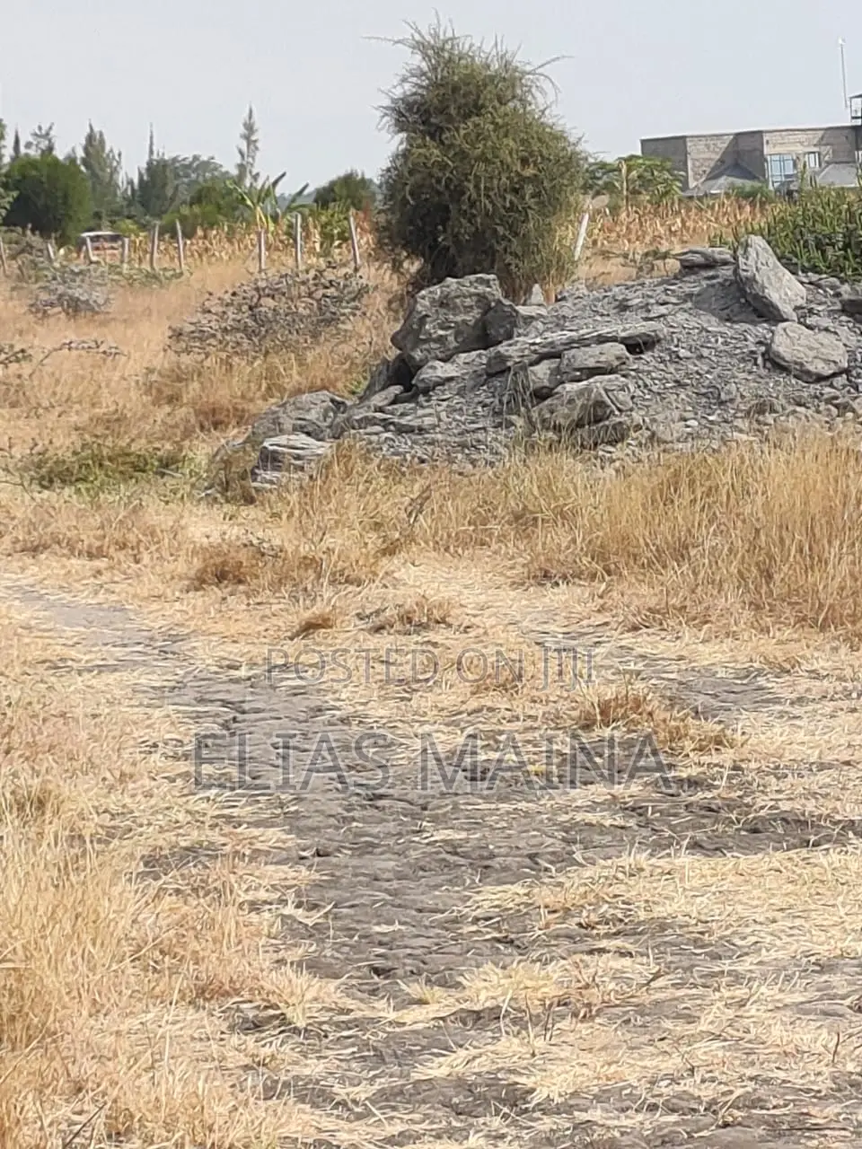 Malaa Plots