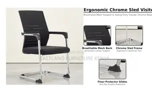 Ergonomic Chrome Sled Chair