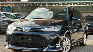 Toyota Corolla Fielder 2019 Black