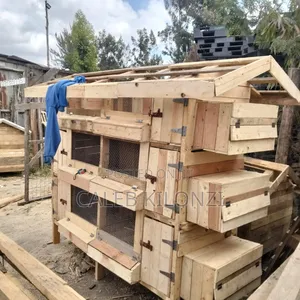 3-Tier Chicken House