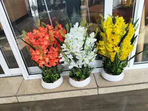 Table Top Big Potted Flowers