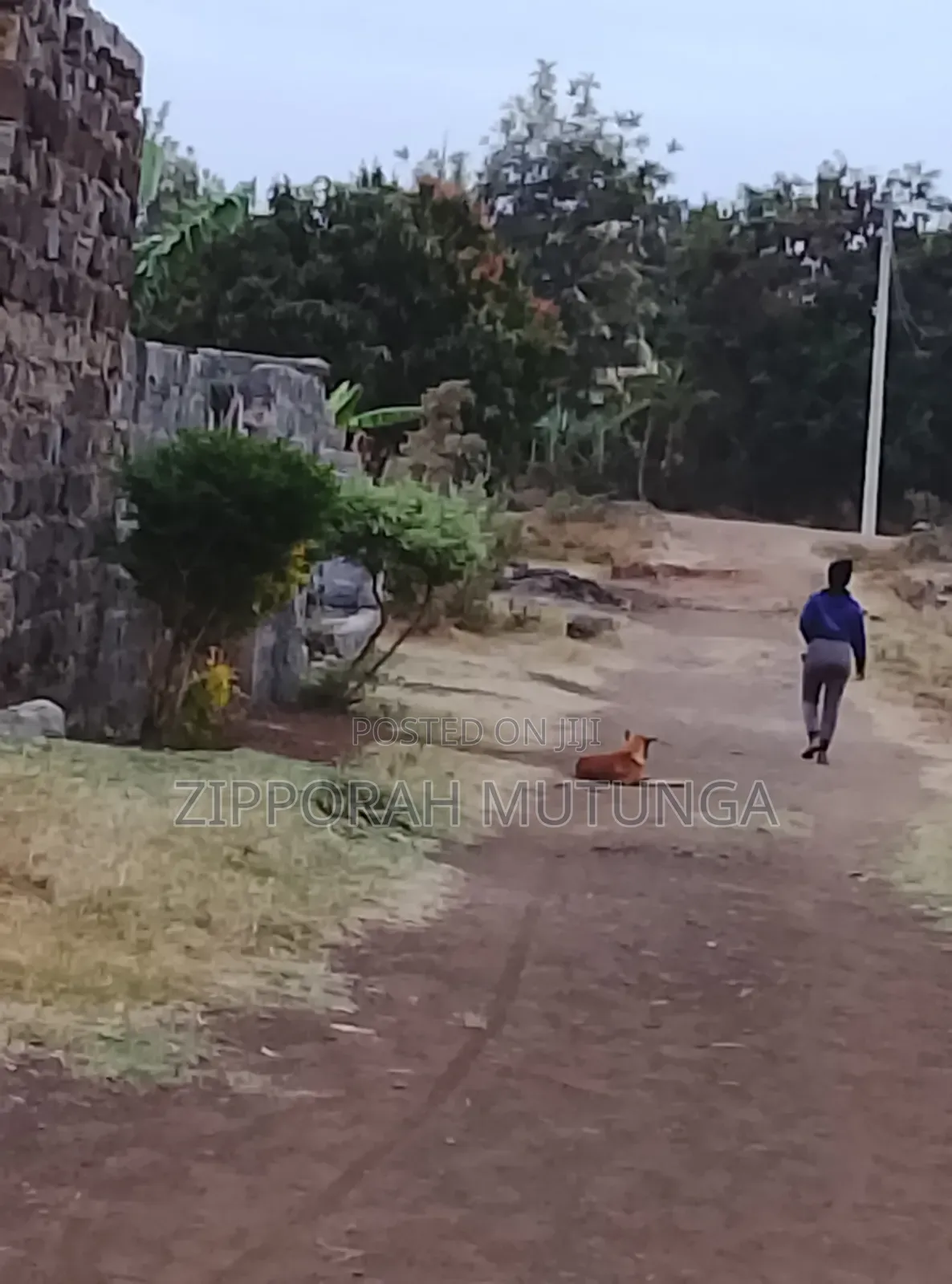 Plot for Sale Muguga Thika Kiambu County