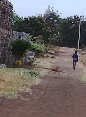 Plot for Sale Muguga Thika Kiambu County