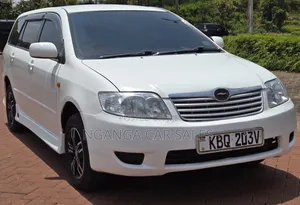 Toyota Corolla Fielder 2006 White