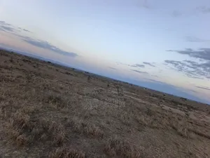One Acre in Nanyuki for Sale