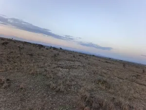 One Acre in Nanyuki for Sale