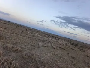 One Acre in Nanyuki for Sale