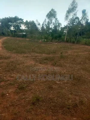 0.12 Land in Dunga