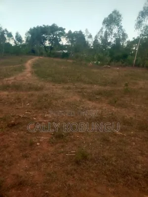 0.12 Land in Dunga