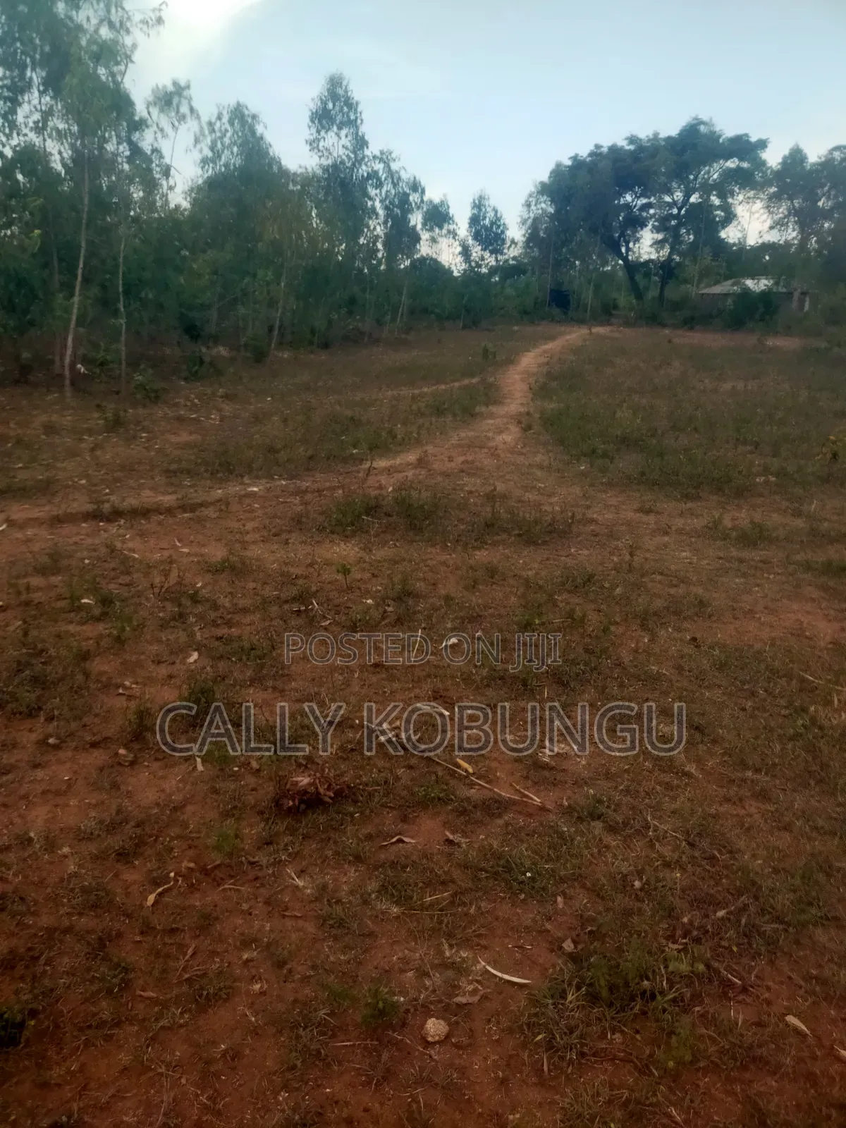 0.12 Land in Dunga