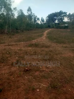 0.12 Land in Dunga