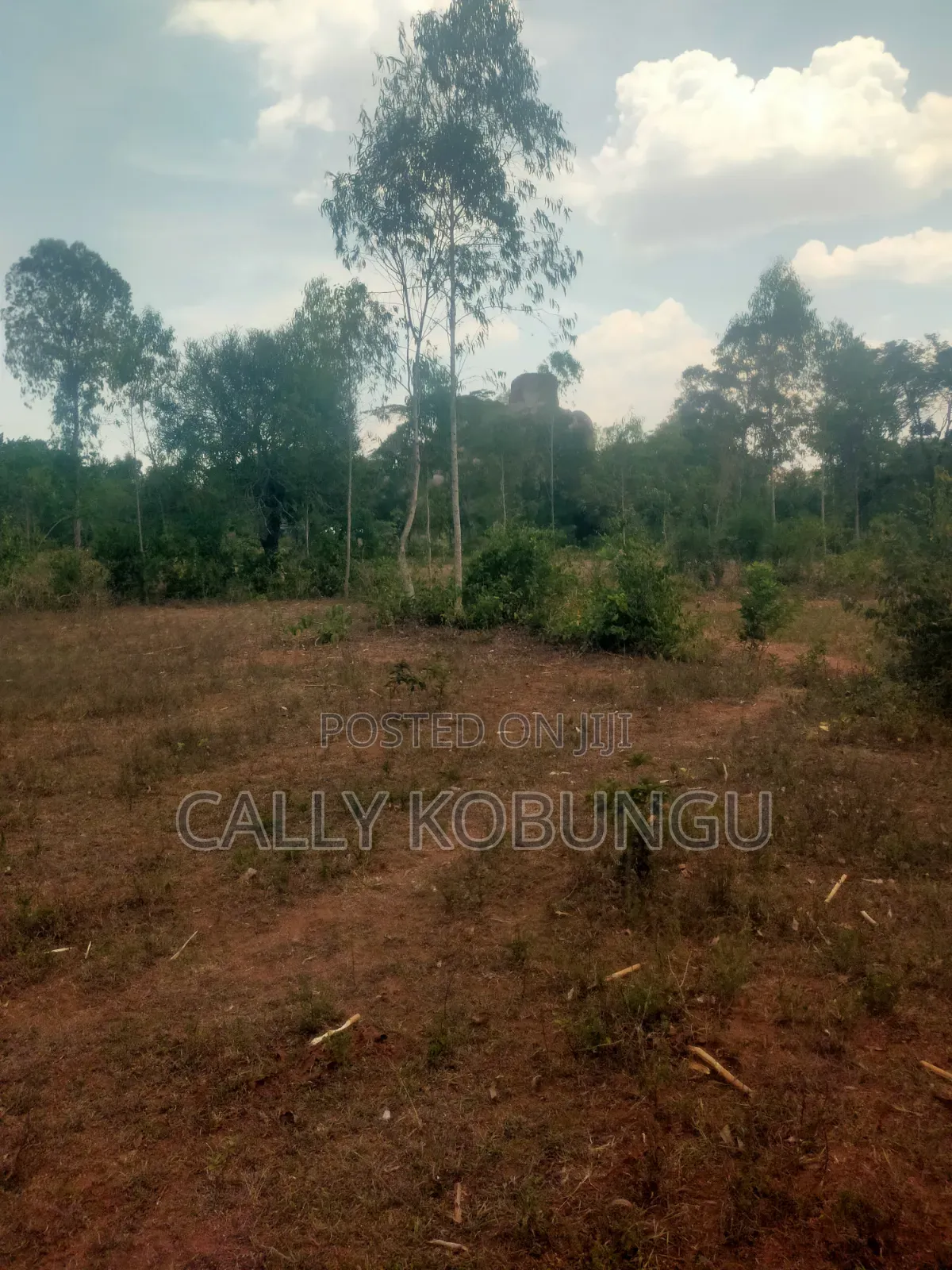 0.12 Land in Dunga