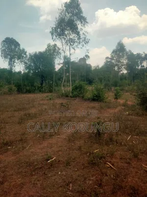 0.12 Land in Dunga