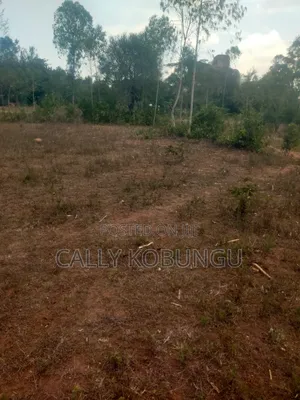 0.12 Land in Dunga