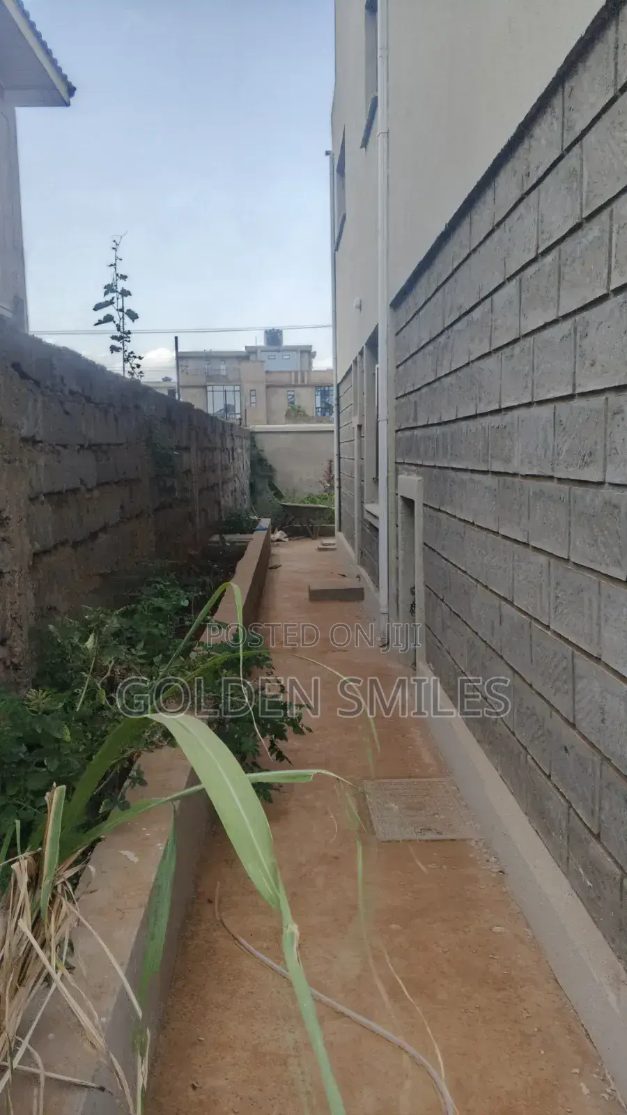 3bdrm Bungalow in Olive Gardens, Mangu for rent
