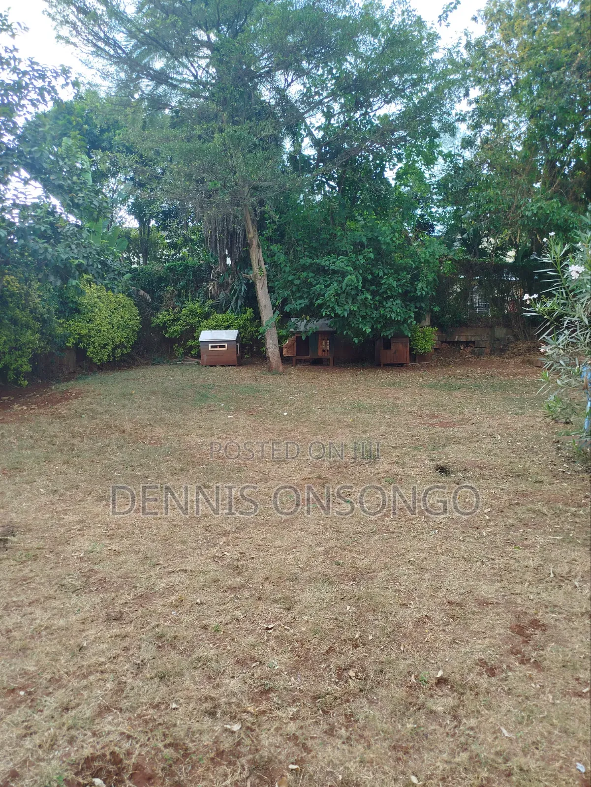 1bdrm Bungalow in Mountain View for rent