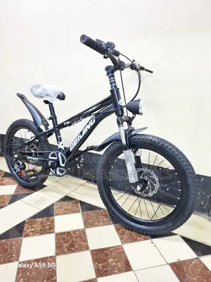 Beijing Multi-Speed Gear Kids Mountain Bike Size 20