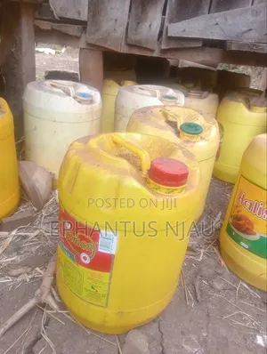 Rabbit Urine