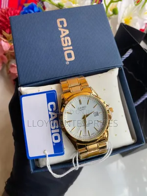 casio Date Watch