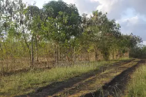Fully Fenced, Approx. 4 Acres of Land in Vinuni, Tiwi, Kwake County