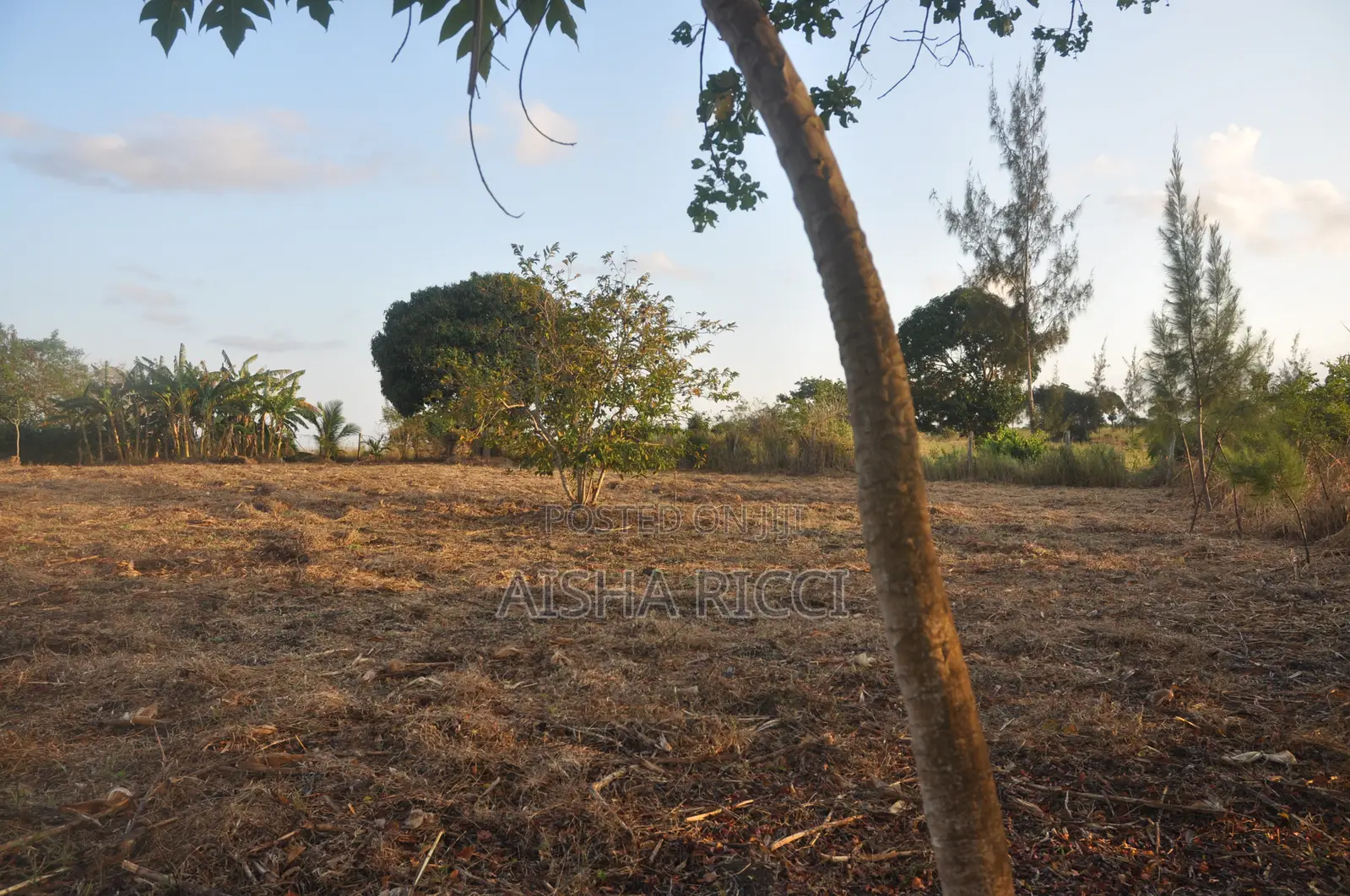 Fully Fenced, Approx. 4 Acres of Land in Vinuni, Tiwi, Kwake County