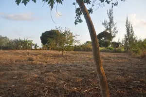 Fully Fenced, Approx. 4 Acres of Land in Vinuni, Tiwi, Kwake County