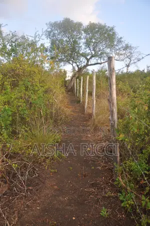 Fully Fenced, Approx. 4 Acres of Land in Vinuni, Tiwi, Kwake County