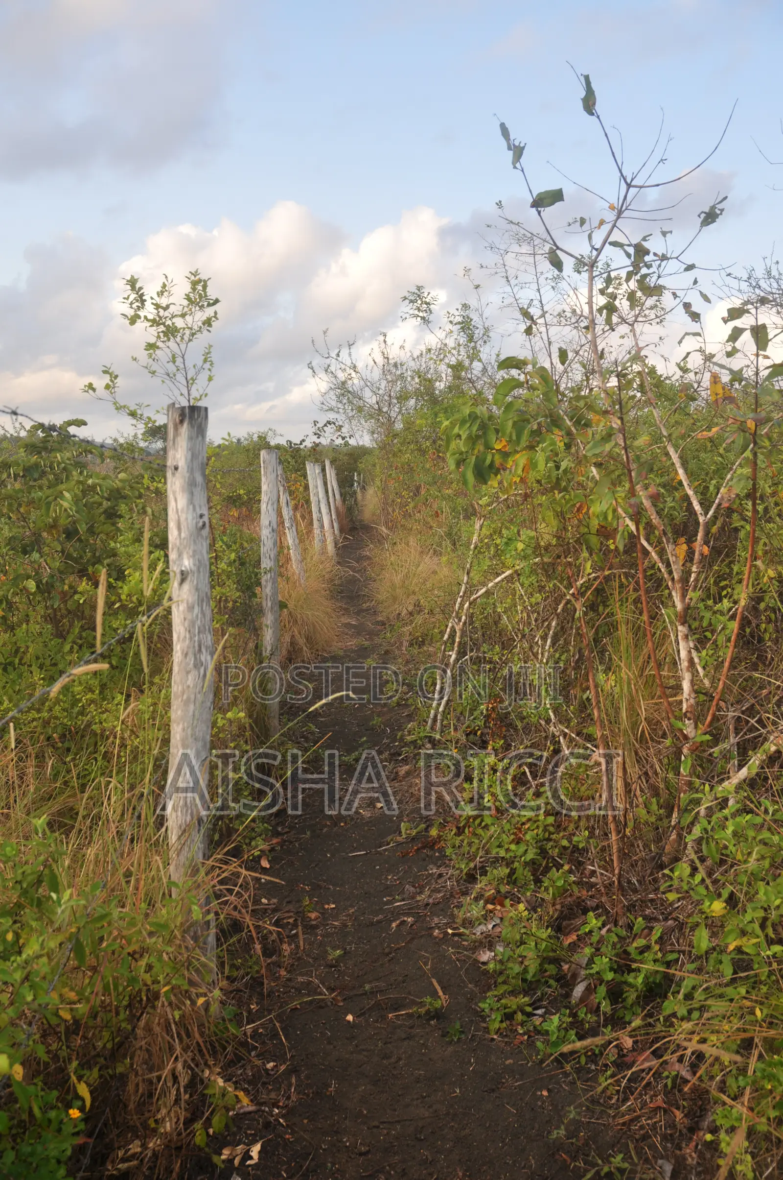 Fully Fenced, Approx. 4 Acres of Land in Vinuni, Tiwi, Kwake County