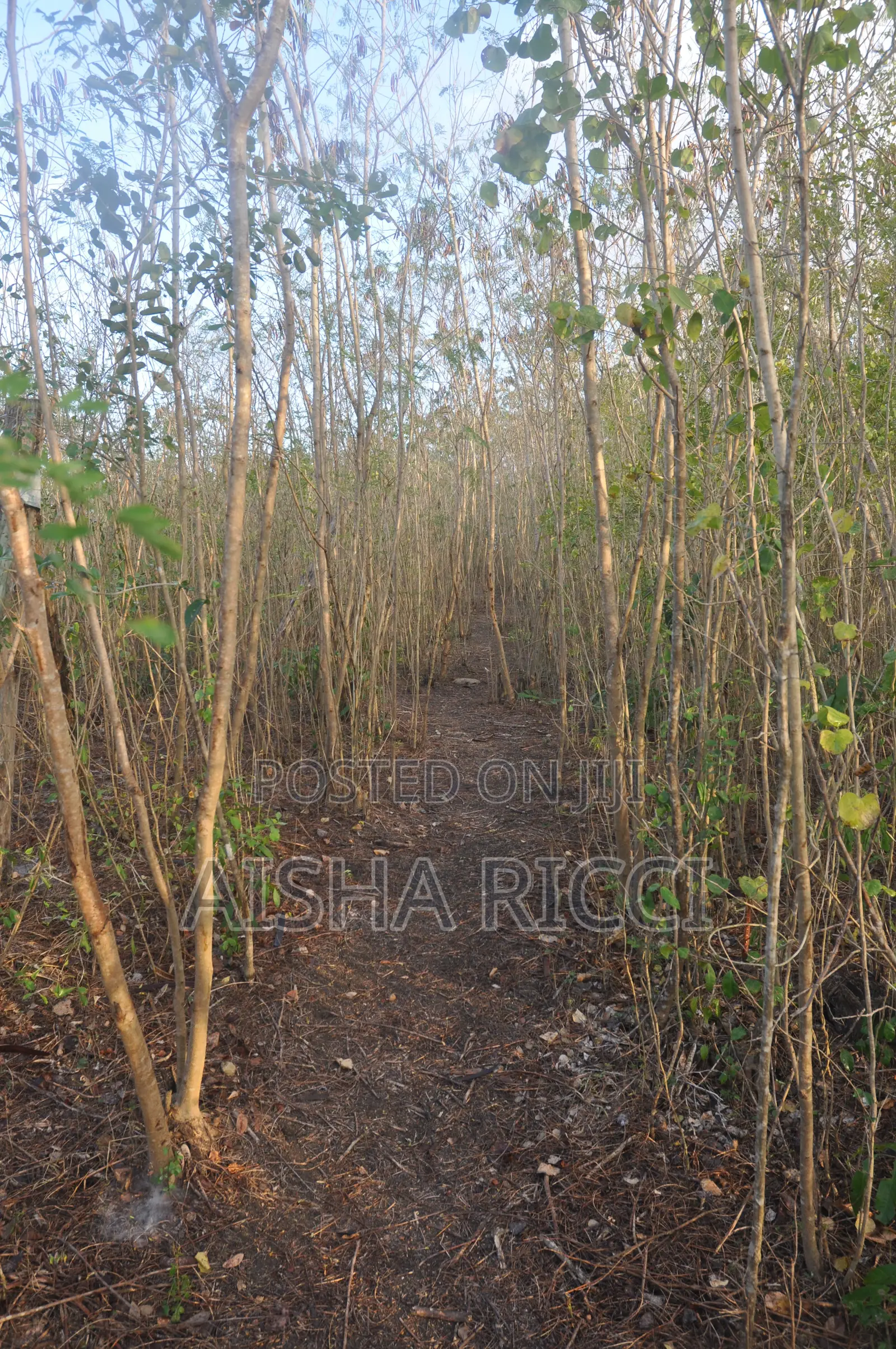 Fully Fenced, Approx. 4 Acres of Land in Vinuni, Tiwi, Kwake County