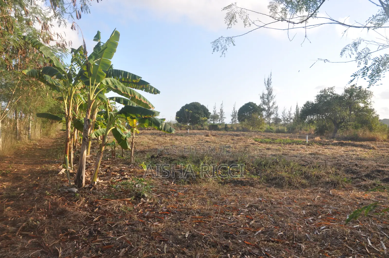 Fully Fenced, Approx. 4 Acres of Land in Vinuni, Tiwi, Kwake County