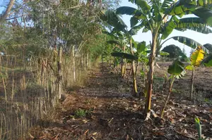 Fully Fenced, Approx. 4 Acres of Land in Vinuni, Tiwi, Kwake County