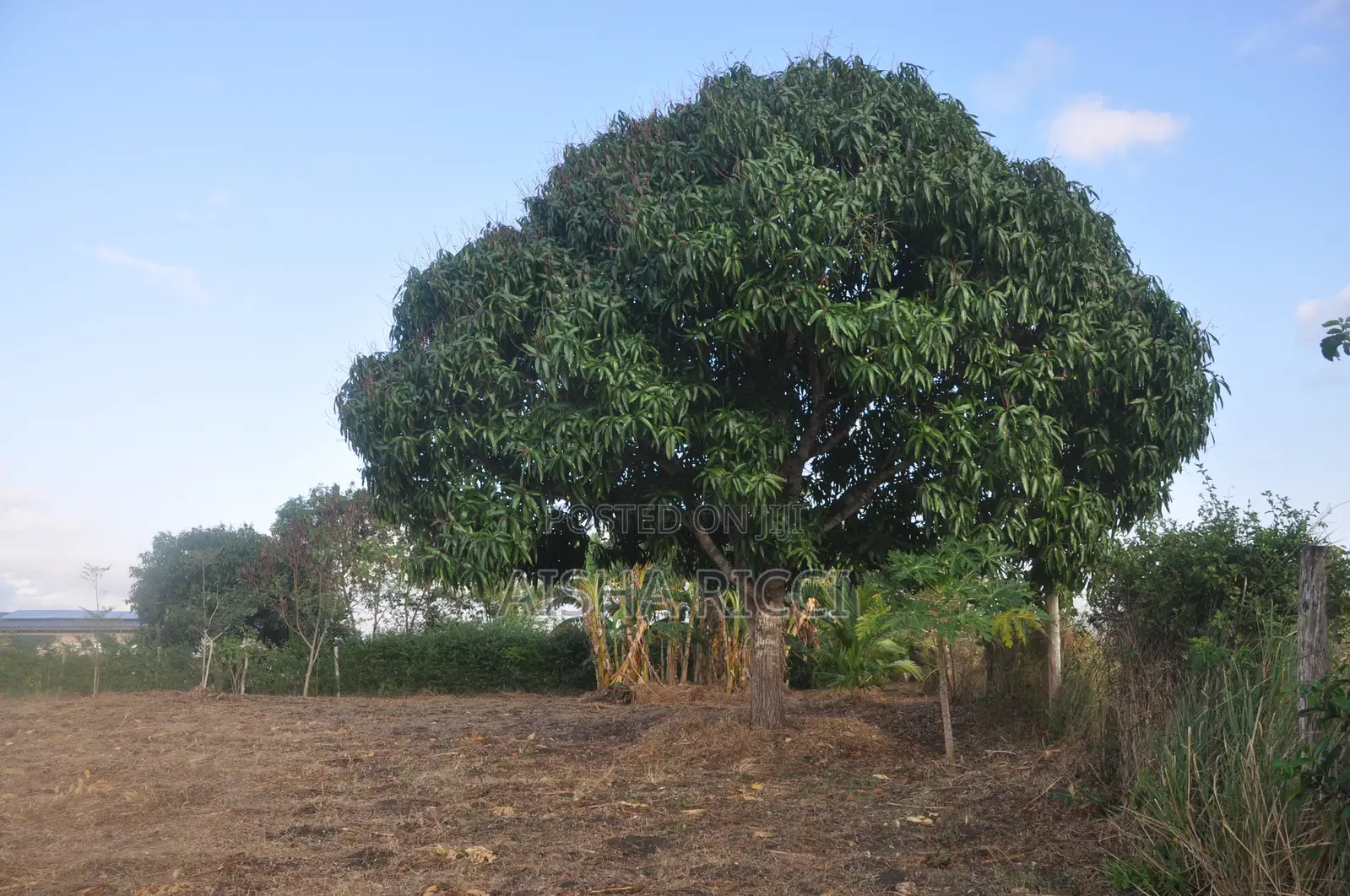Fully Fenced, Approx. 4 Acres of Land in Vinuni, Tiwi, Kwake County