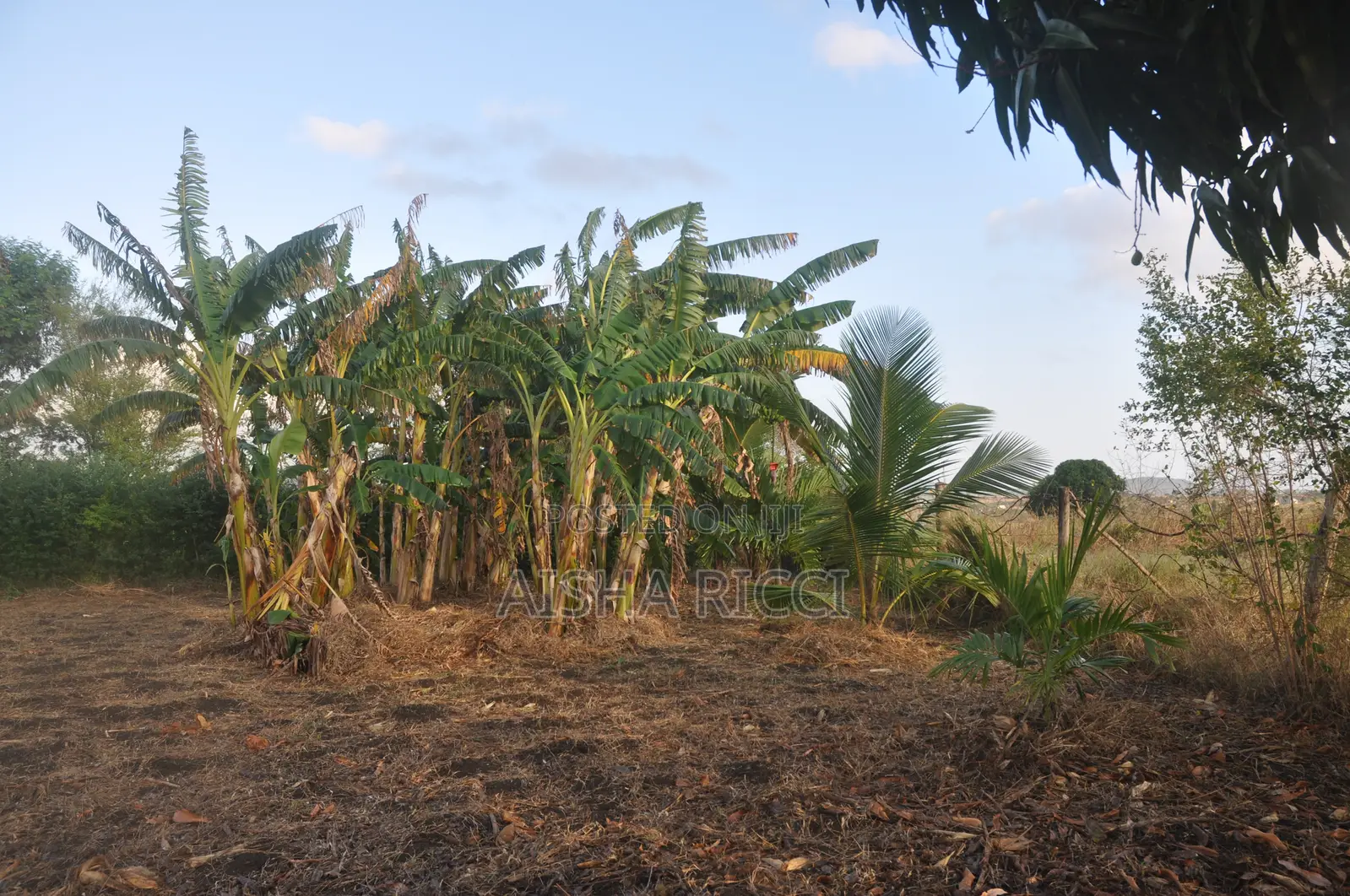 Fully Fenced, Approx. 4 Acres of Land in Vinuni, Tiwi, Kwake County
