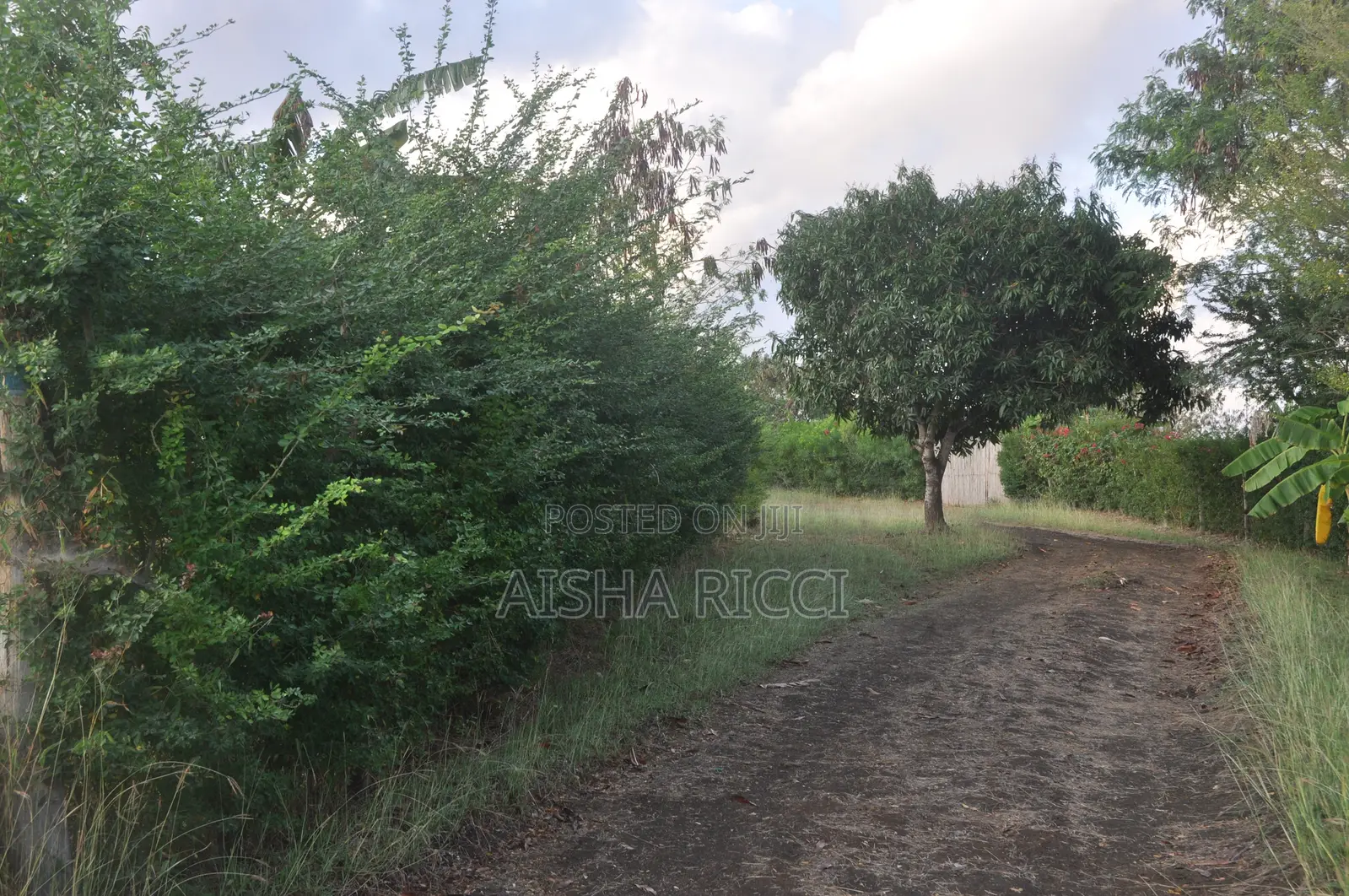 Fully Fenced, Approx. 4 Acres of Land in Vinuni, Tiwi, Kwake County