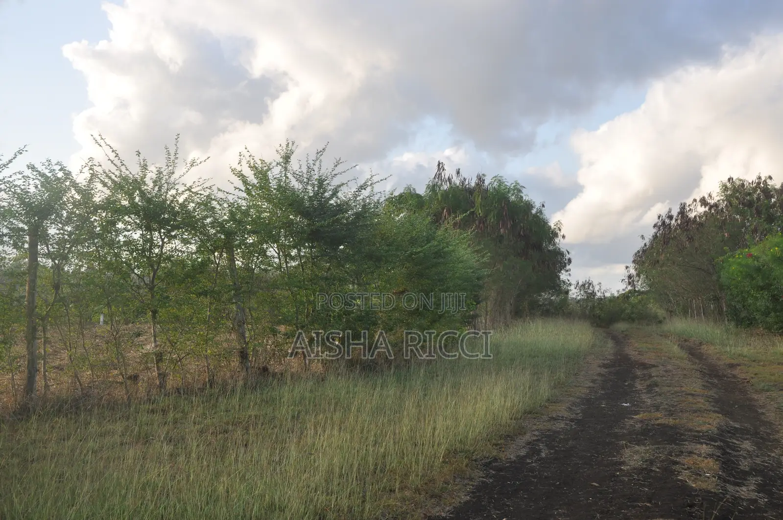 Fully Fenced, Approx. 4 Acres of Land in Vinuni, Tiwi, Kwake County