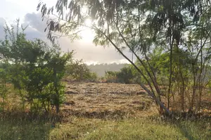 Fully Fenced, Approx. 4 Acres of Land in Vinuni, Tiwi, Kwake County