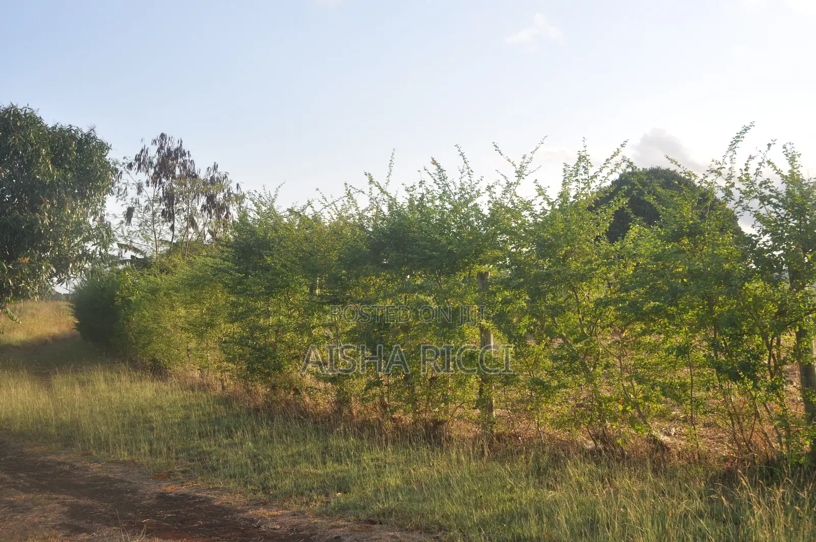 Fully Fenced, Approx. 4 Acres of Land in Vinuni, Tiwi, Kwake County