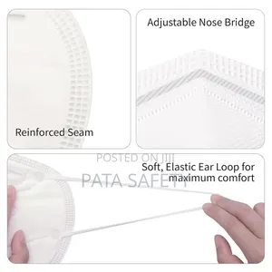 Filter Mask N95