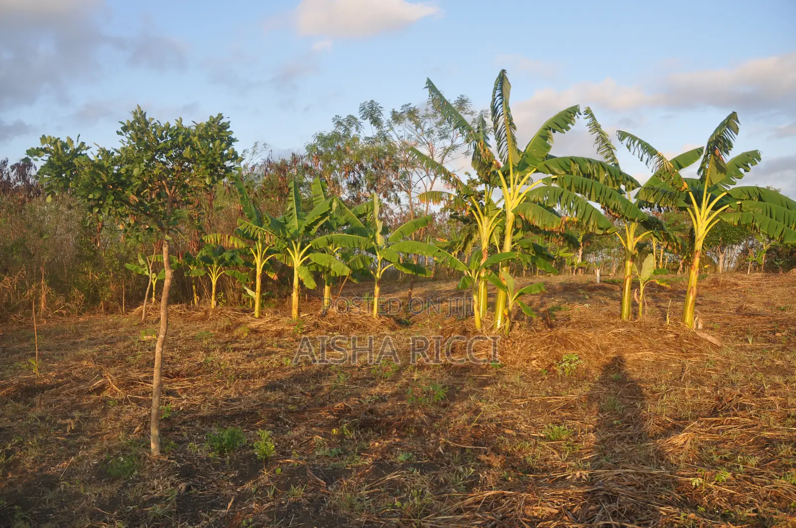 Fully Fenced, Approx. 4 Acres of Land in Vinuni, Tiwi, Kwake County