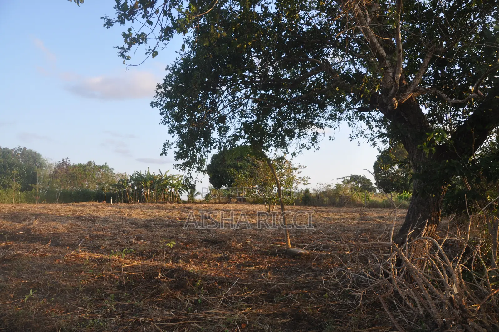 Fully Fenced, Approx. 4 Acres of Land in Vinuni, Tiwi, Kwake County