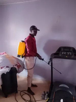 Permanent Bedbugs and Cockroach Solution