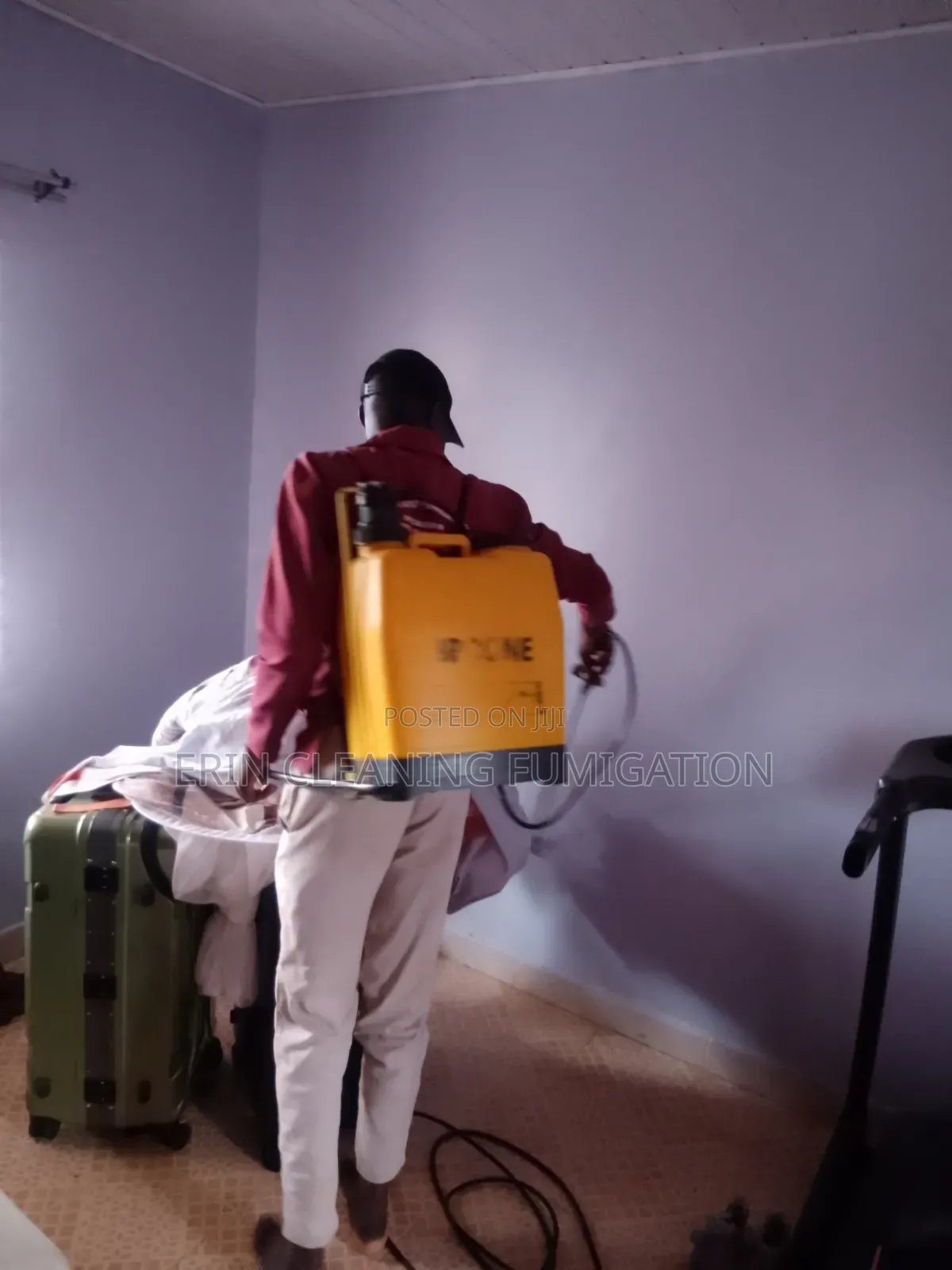 Permanent Bedbugs and Cockroach Solution